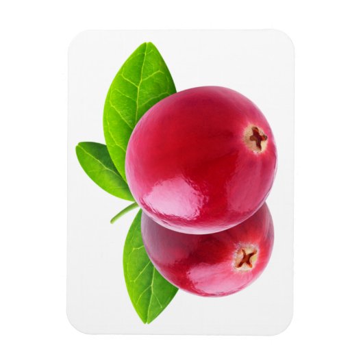 Zwei Cranbeeren Magnet (Vertikal)