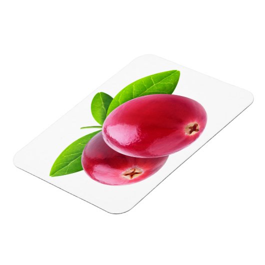 Zwei Cranbeeren Magnet (Linke Seite)