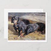 Zwei Dackeln mit dem Bone Hermine Biedermann Postkarte (Vorne/Hinten)