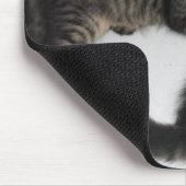 Zwei Darling Kittens Maus Pad Mousepad (Ecke)