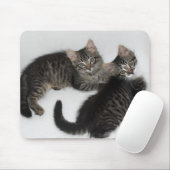 Zwei Darling Kittens Maus Pad Mousepad (Mit Mouse)