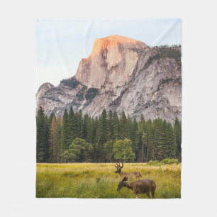ZWEI DECKEN VOR EINER HALBEN DOME IM YOSEMITTALLEY