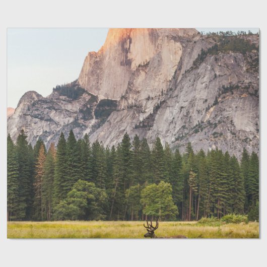 ZWEI DECKEN VOR EINER HALBEN DOME IM YOSEMITTALLEY GESCHENKPAPIER (Flach)