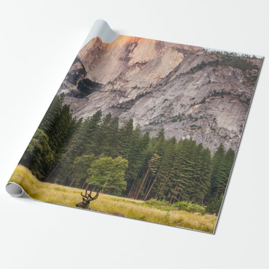 ZWEI DECKEN VOR EINER HALBEN DOME IM YOSEMITTALLEY GESCHENKPAPIER (Ungerollt)