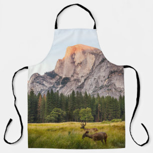 ZWEI DECKEN VOR EINER HALBEN DOME IM YOSEMITTALLEY SCHÜRZE