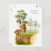 Zwei dekorative Kaninchen Postkarte (Vorne/Hinten)