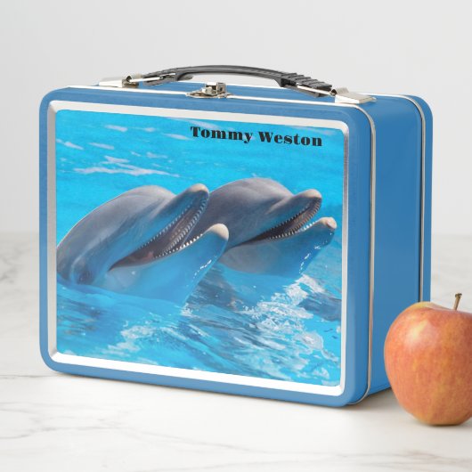 Zwei Delphine Metall Brotdose (Beispiel)