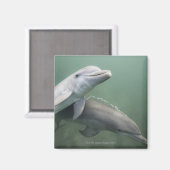 Zwei Delphine unter Wasser Magnet (Vorderseite/Rückseite)