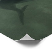 Zwei Delphine unter Wasser Poster (Ecke)