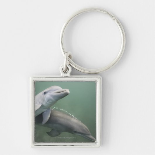 Zwei Delphine Unterwasser Schlüsselanhänger (Vorne)