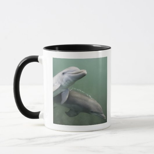 Zwei Delphine Unterwasser Tasse (Links)