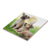 Zwei deutsche HirtenWelpen Fliese (Seite)