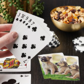 Zwei deutsche HirtenWelpen Spielkarten (In Situ)