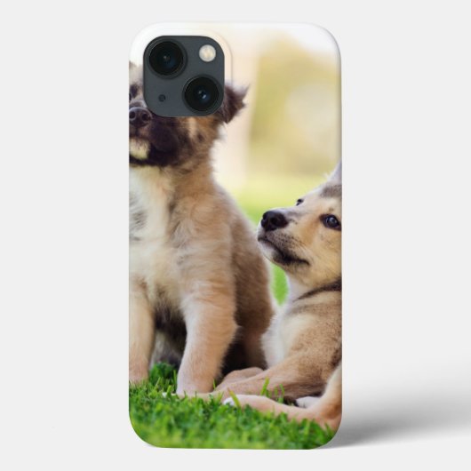 Zwei deutsche Schäferwelpen Case-Mate iPhone Hülle (Rückseite)