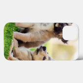 Zwei deutsche Schäferwelpen Case-Mate iPhone Hülle (Rückseite (Horizontal))