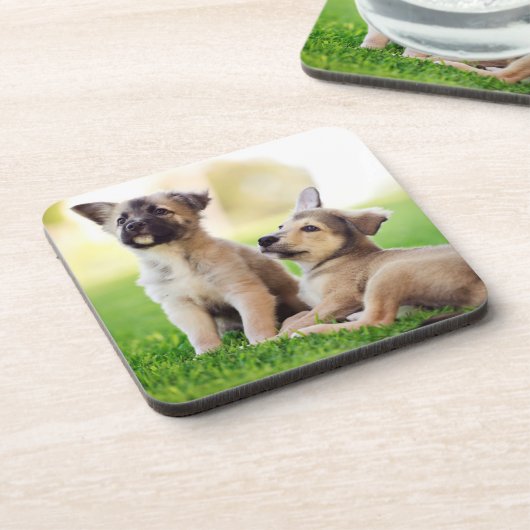 Zwei deutsche Schäferwelpen Getränkeuntersetzer (Linke Seite)