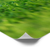 Zwei deutsche Schäferwelpen Poster (Ecke)