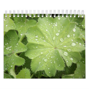 Zwei die Seite, klein, 7" x11", weißer Kalender