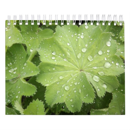 Zwei die Seite, klein, 7" x11", weißer Kalender (Titelbild)