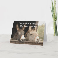 Zwei Donkeys teilen sich die gleiche Ansicht auf d