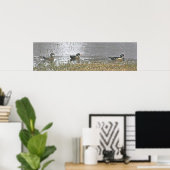 Zwei Drake und eine Hen Wood Duck Poster (Heimbüro)