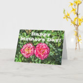 Zwei dunkelrosa Rosen mit dunkelgrünen Blätter Karte (Gelbe Blume)