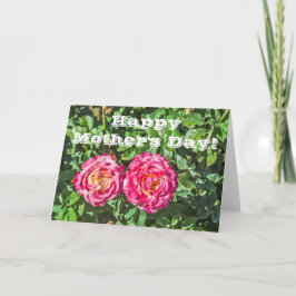 Zwei dunkelrosa Rosen mit dunkelgrünen Blätter Karte