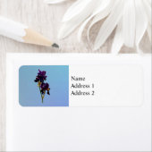 Zwei dunkle Lila Irische-Label (Insitu)