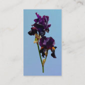 Zwei dunkle Lila Irische Visitenkarte (Rückseite)