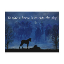 Zwei durchsichtige Racehorse Foals Postkarte