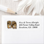 Zwei Eichhörnchen benutzerdefinierte Rücksendeadre (Insitu)