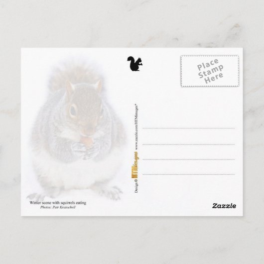 Zwei Eichhörnchen beschäftigen sich mit dem Essen Postkarte (Rückseite)