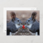 Zwei Eichhörnchen, die ein lese Herz halten Postkarte (Vorne/Hinten)