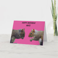 Zwei Eichhörnchen glücklich zum Geburtstag Mate