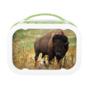 Zwei einer Art Brotdose (Vorderseite)