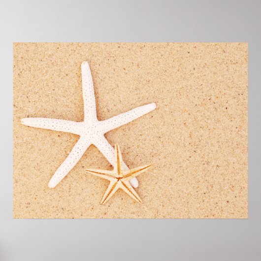 Zwei einfache Starfish Poster (Vorne)
