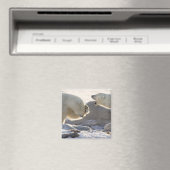 Zwei Eisbären Magnet (In Situ (Geschirrspüler))