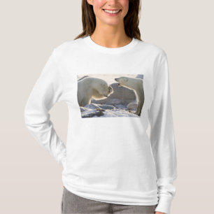 Zwei Eisbären T-Shirt