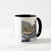 Zwei Eisbären Tasse (VorderseiteRechts)
