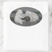 Zwei Eisbärenjungen Ovaler Aufkleber (Tasche)