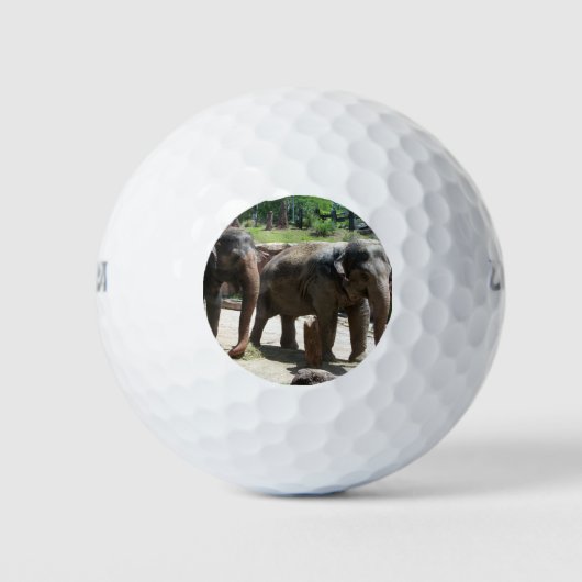 Zwei Elefanten Golfball (Vorderseite)