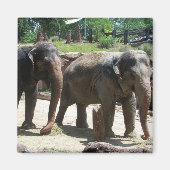 Zwei Elefanten Magnet (Vorne)