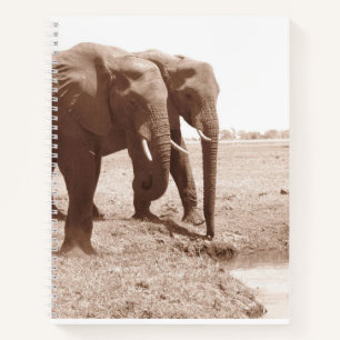 Zwei Elephant Spiral Notebook-Uni Notizblock