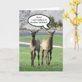 Zwei Elkälber glücklich zum Geburtstag Karte (Gelbe Blume)