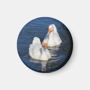 Zwei Emden Gänse II Magnet