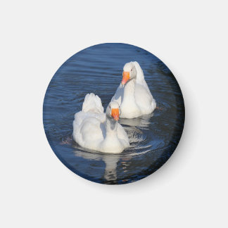 Zwei Emden Gänse II Magnet