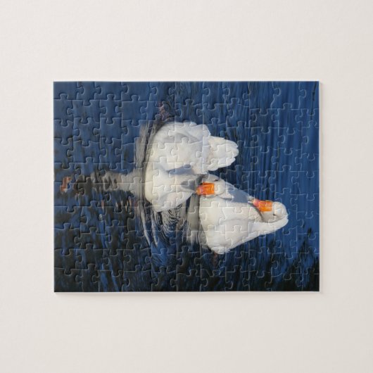 Zwei Emden Gänse II Puzzle (Horizontal)