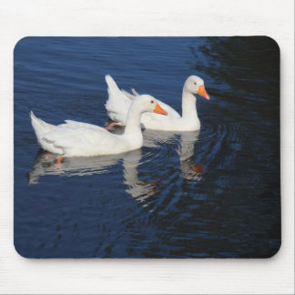 Zwei Emden Ges Mousepad
