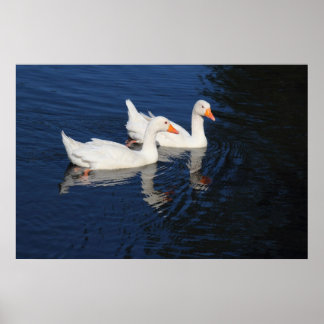 Zwei Emden Ges Poster