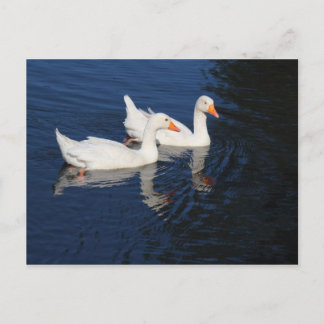 Zwei Emden Ges Postkarte